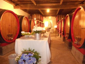 Matrimonio in cantina?  Nell’Altamarca è possibile